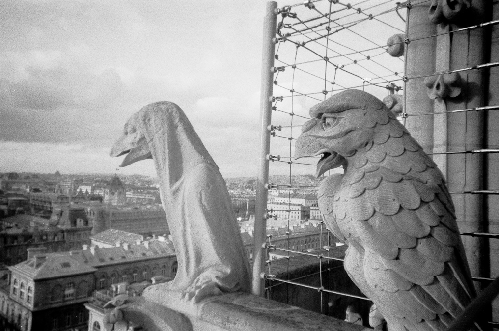    Notre Dame
