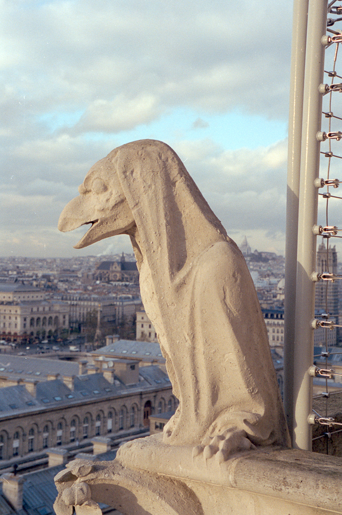    Notre Dame
