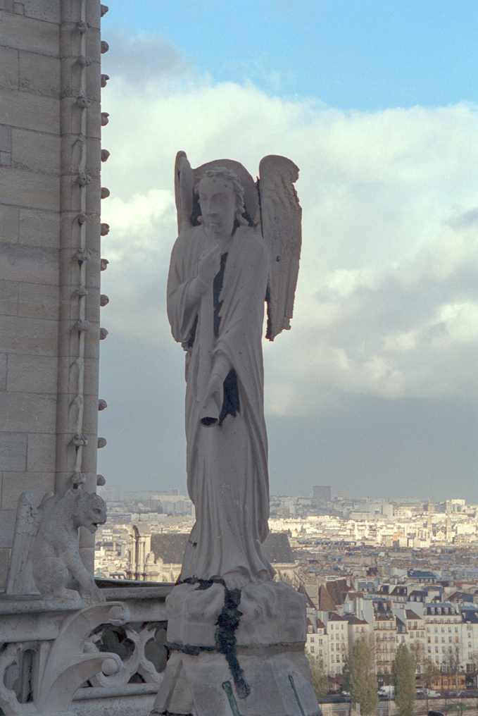    Notre Dame