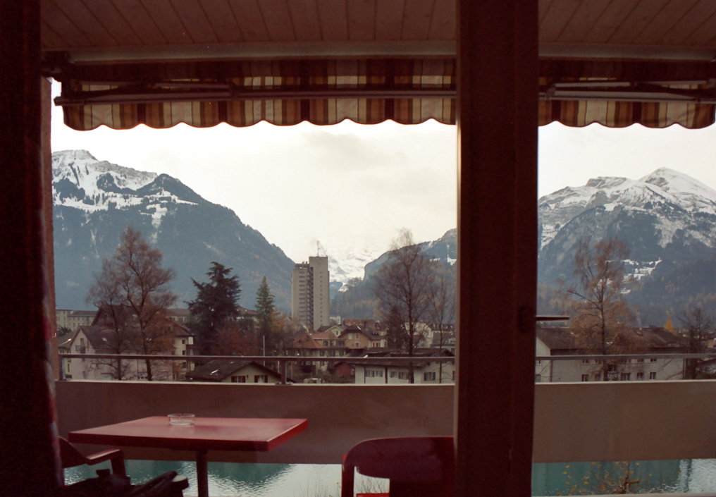    Hotel View