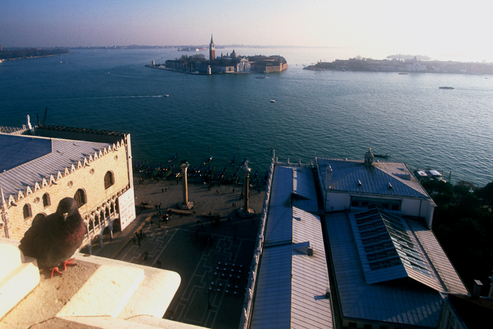    View from Tower