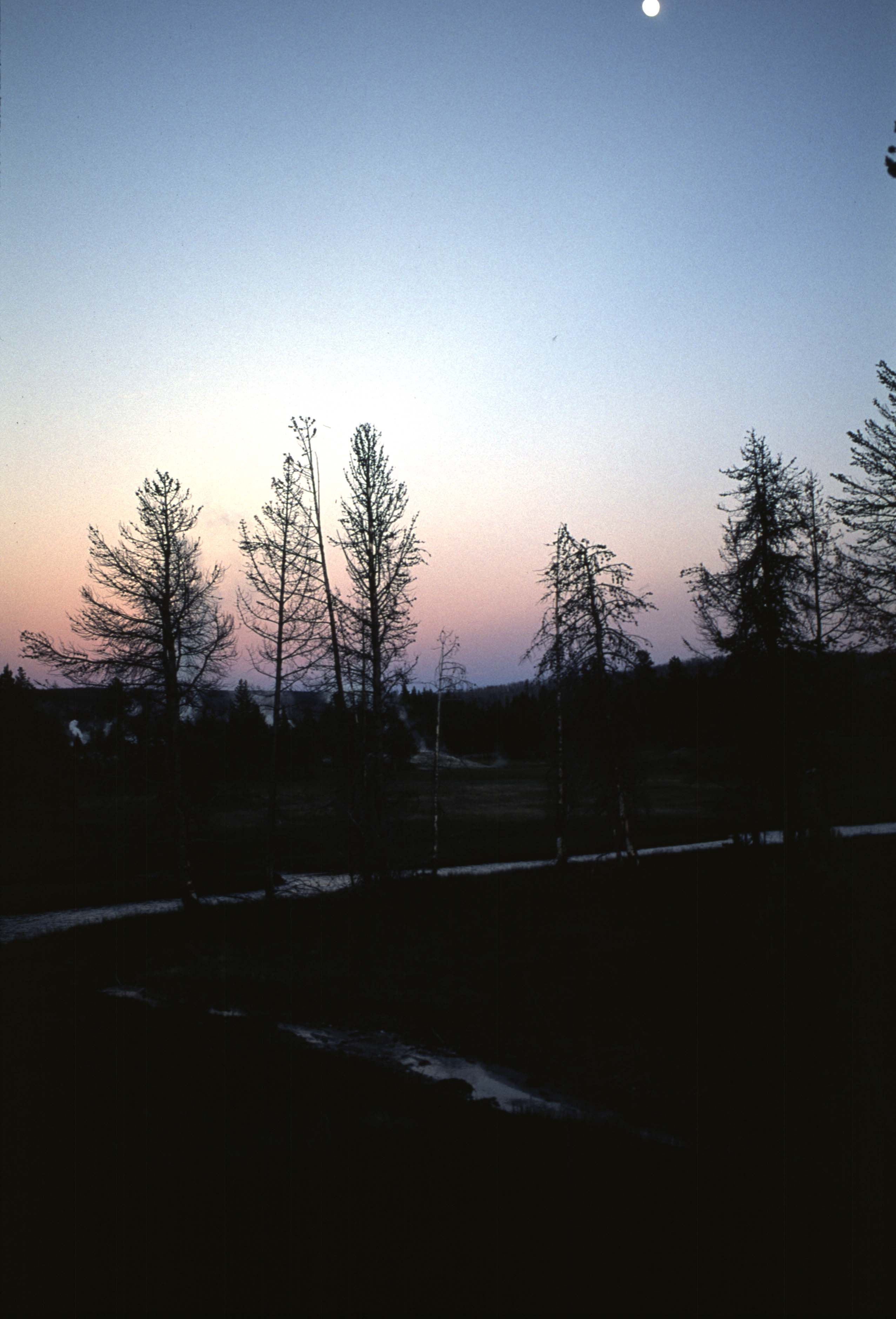 000613 I14 Upper Basin Night Walk