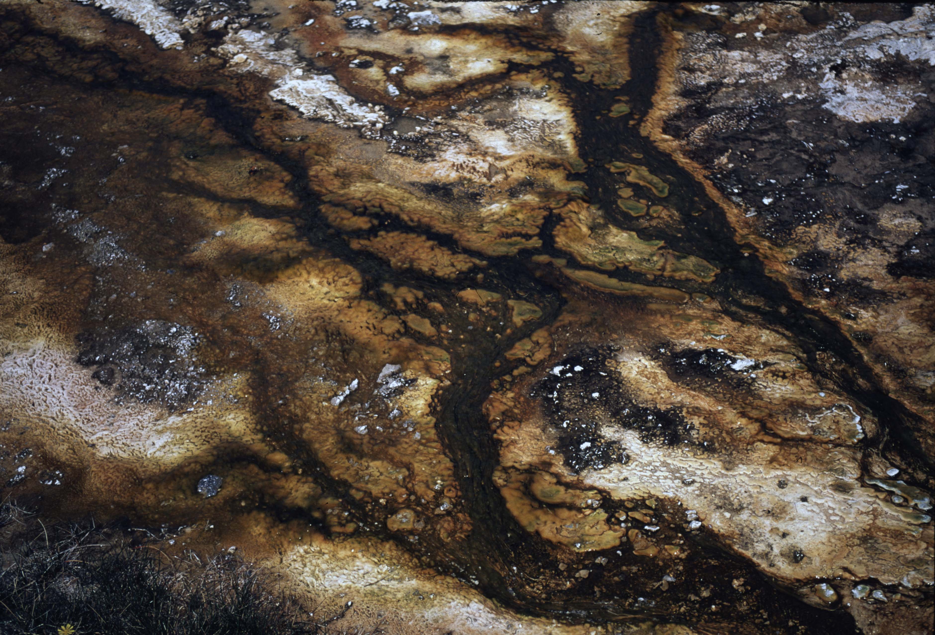 000614 I280 Upper Basin