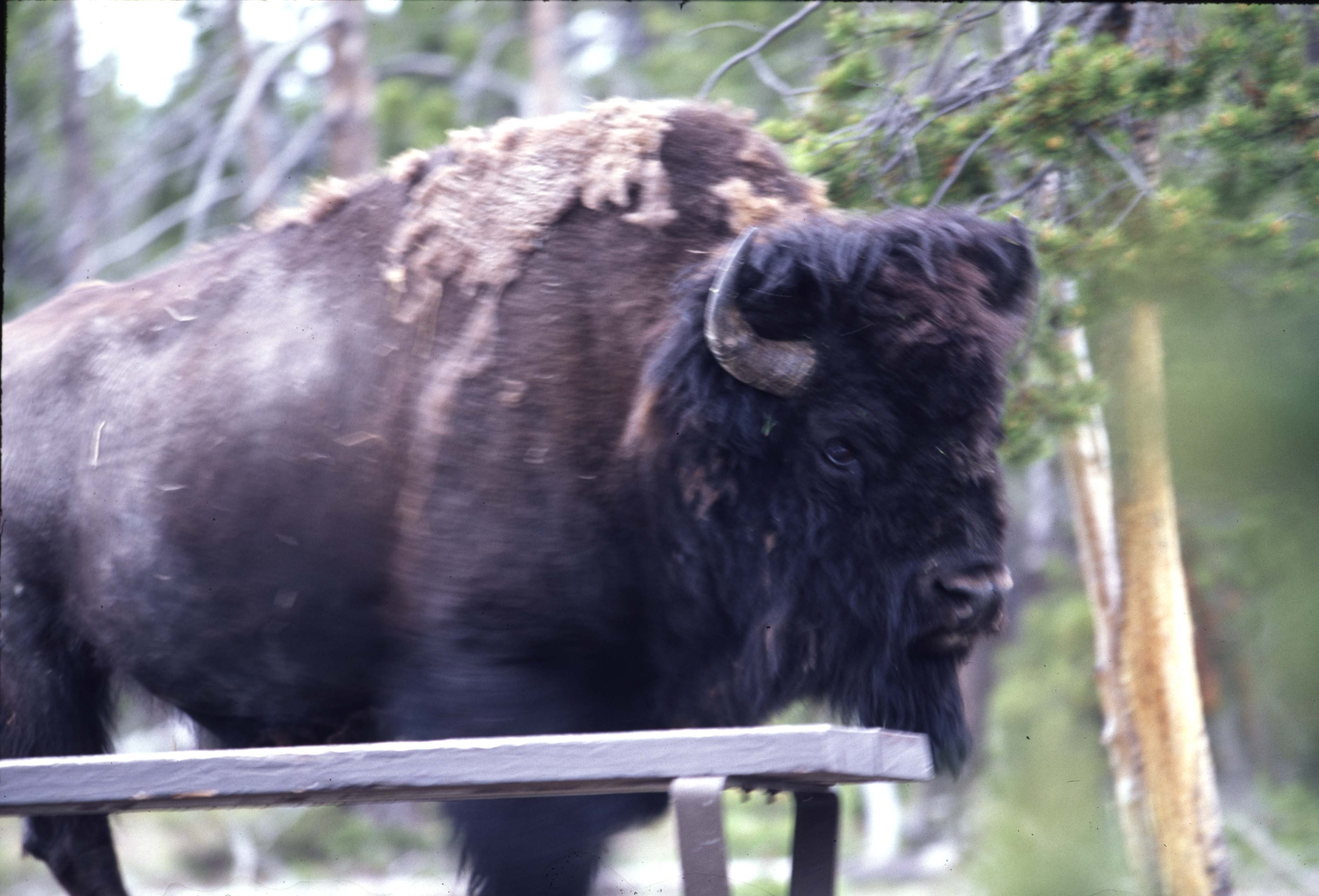 000614 I35 Upper Basin