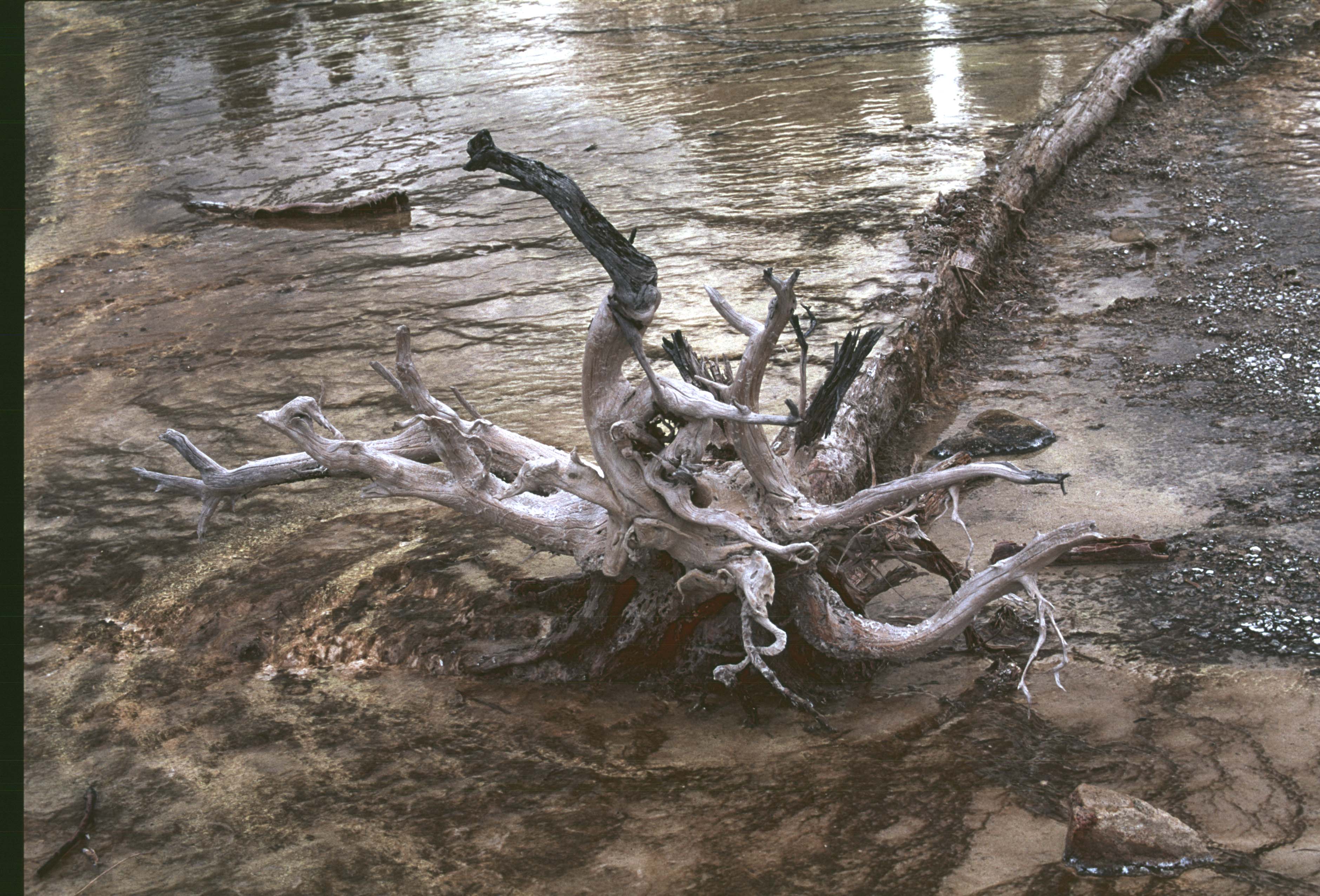 000616 K29 Midway Geyser Basin