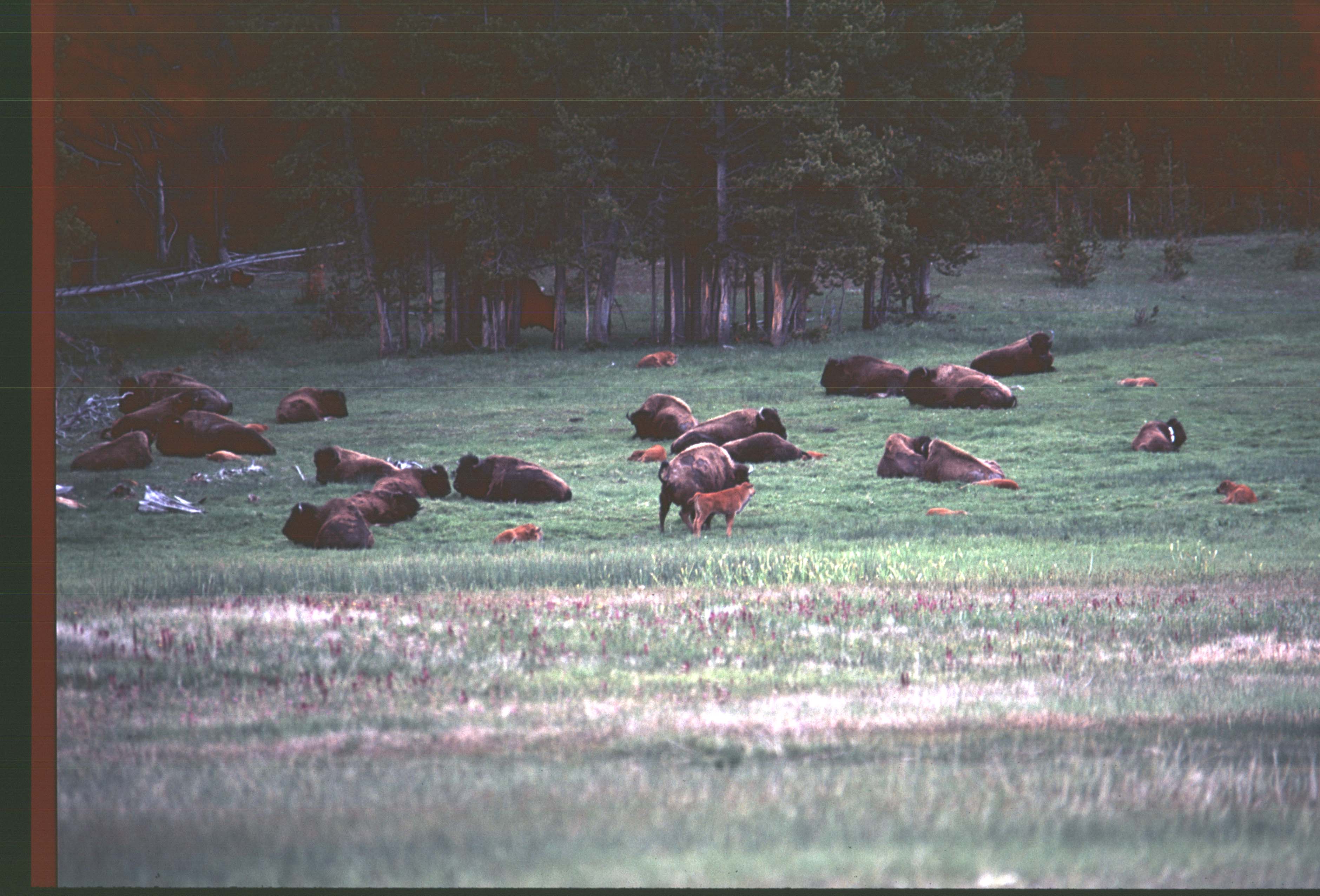 000616 K33 Midway Geyser Basin