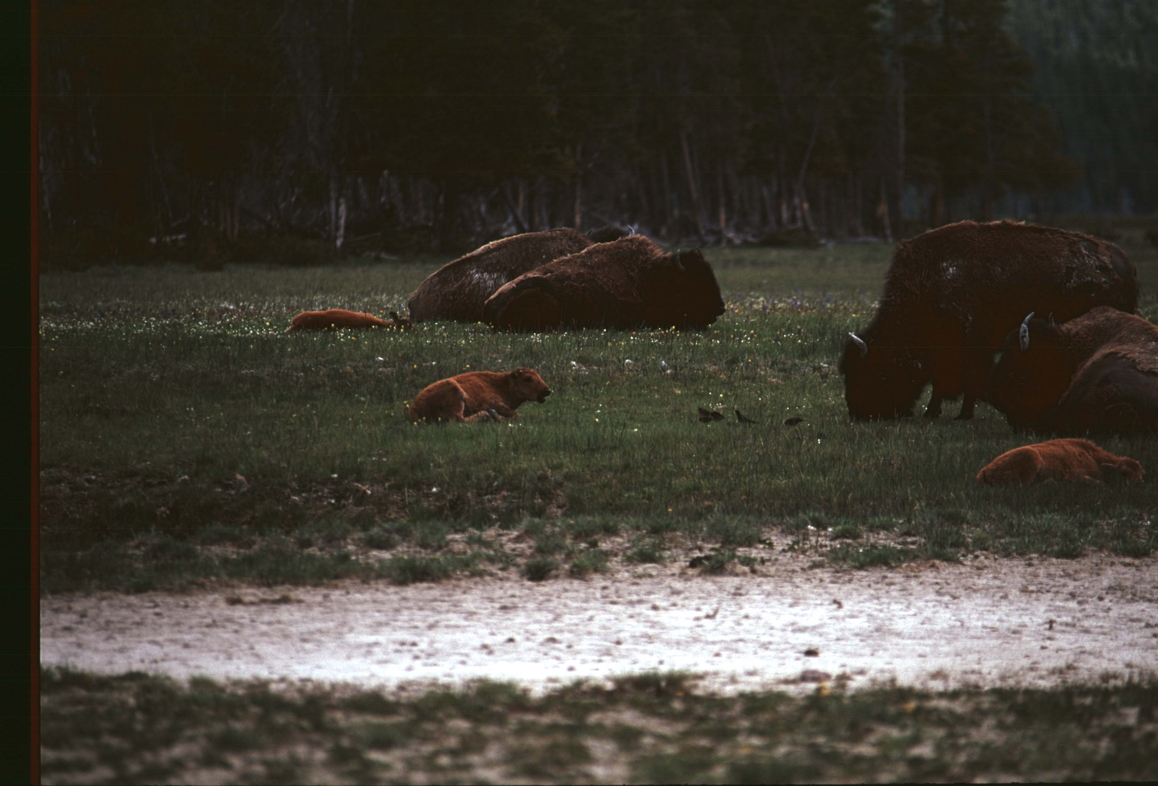 000616 K34 Midway Geyser Basin