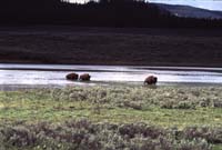 000613 H06 Bison Crossing River