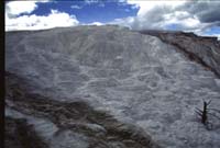 000613 I13 Mammoth Area