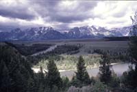 000615 J01 Teton National Park Provia