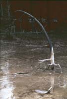 000616 K24 Midway Geyser Basin