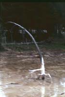 000616 K25 Midway Geyser Basin