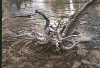 000616 K29 Midway Geyser Basin