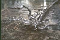 000616 K30 Midway Geyser Basin