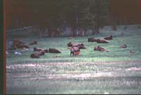 000616 K33 Midway Geyser Basin
