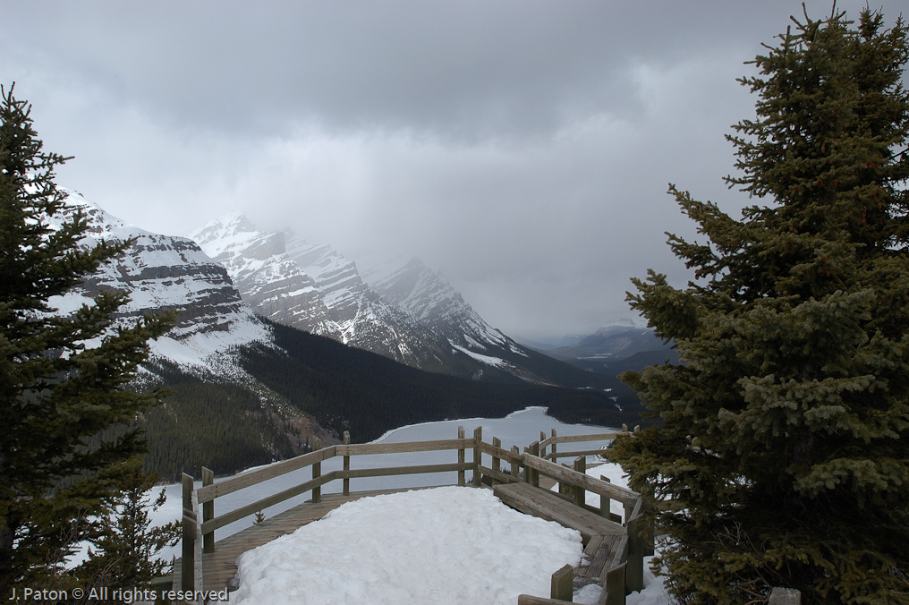 Peyto Lake Viewpoint   Icefield Parkway, Banff National Park, Alberta Canada