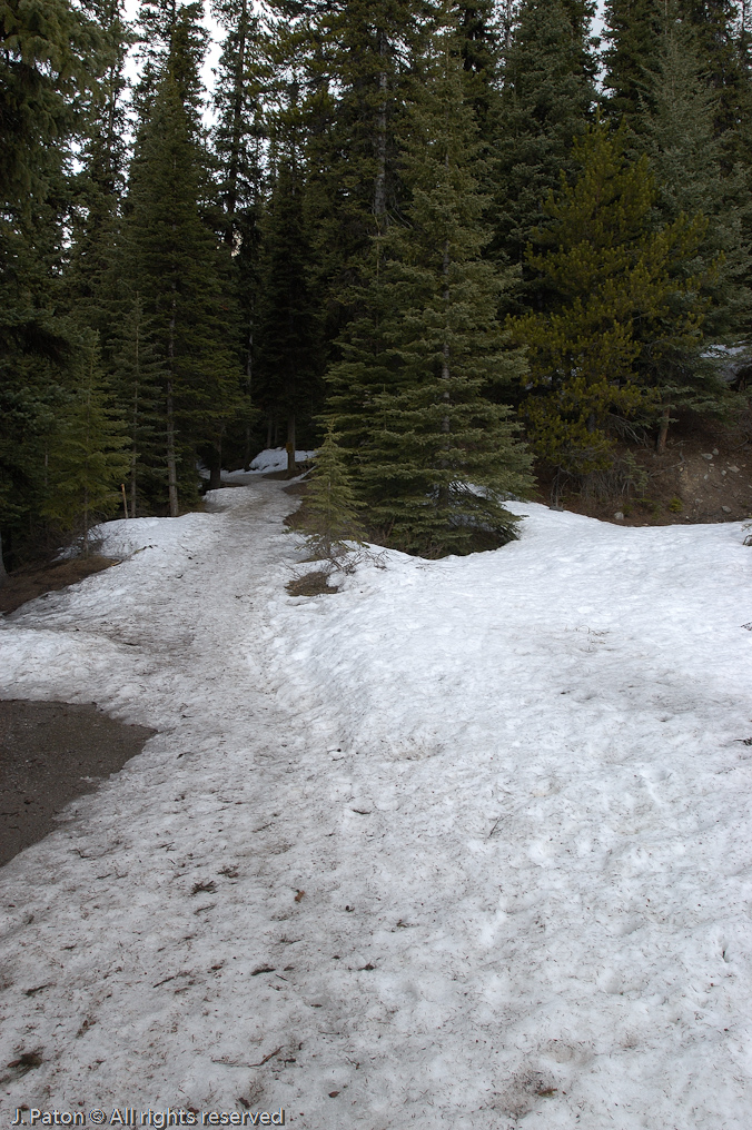Trail to the Lake Agnes Teahouse   Lake Louise, Banff National Park, Albert, Canada
