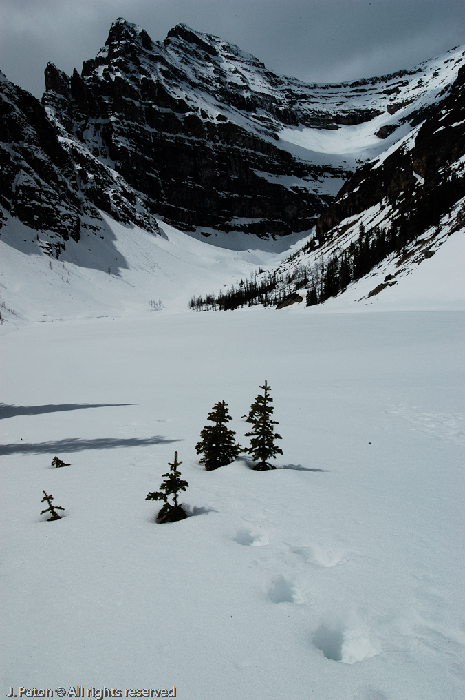    Lake Louise, Banff National Park, Albert, Canada