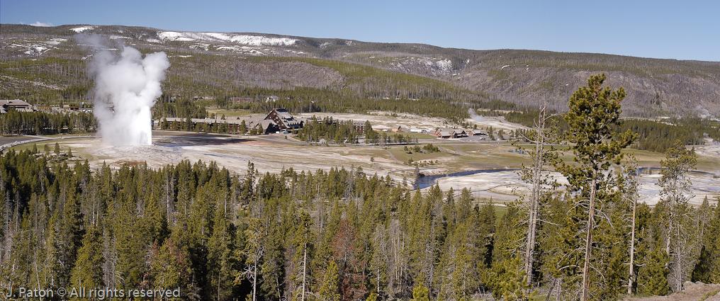 Old Faithful Erupting from Observation Point   Upper Geyser Basin, Yellowstone National Park, Wyoming