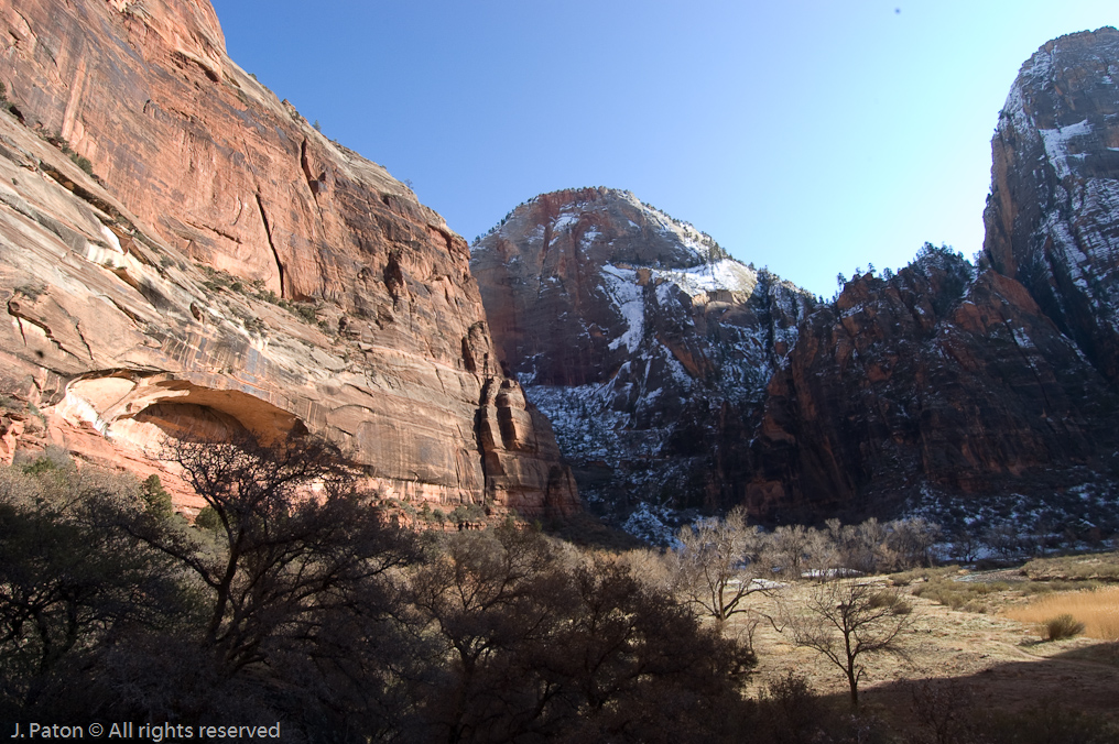 Riverside Walk   Zion National Park, Utah