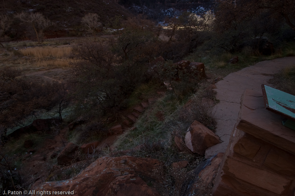 Riverside Walk   Zion National Park, Utah