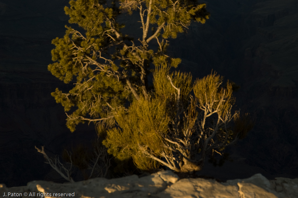 Yavapai Point   South Rim, Grand Canyon, Arizona
