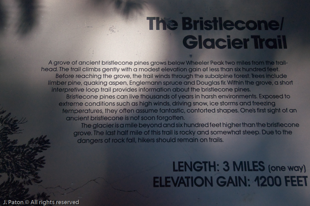 Hiking Trail Information   Great Basin National Park, Nevada