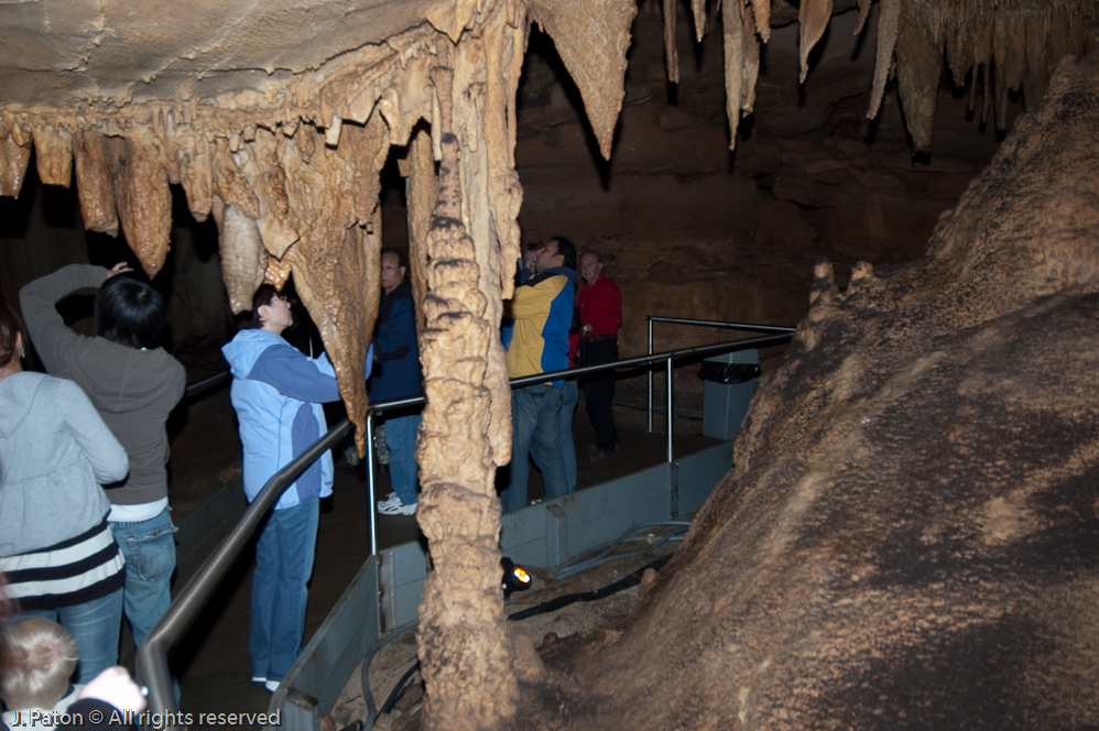 Tour Group  