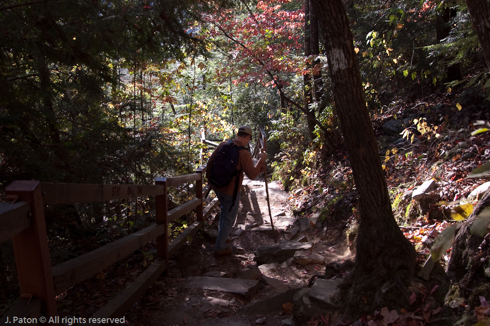 On the Trail  