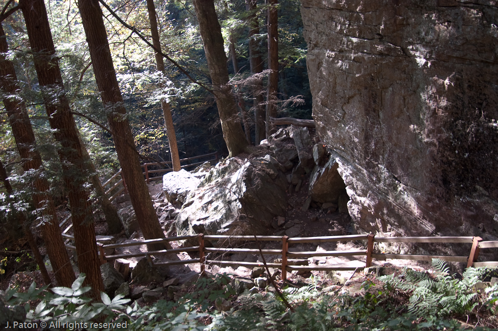 Winding Trail  