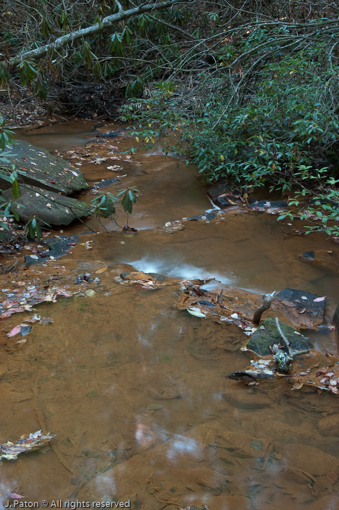 Stream on Trail  