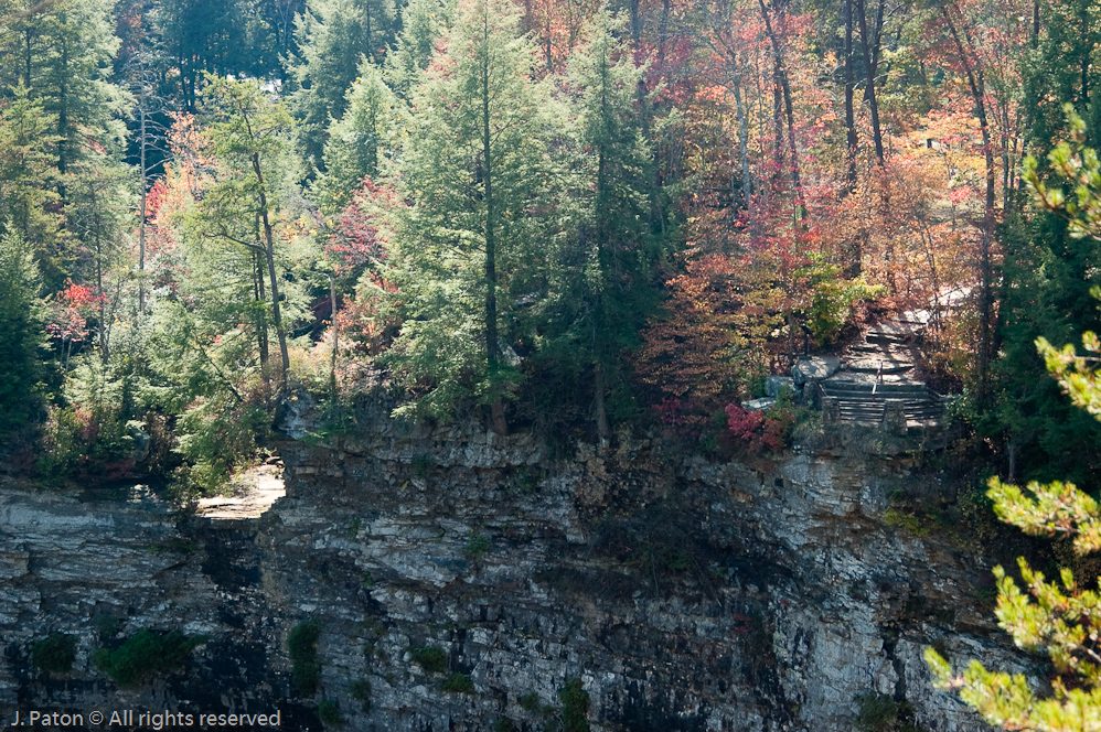 Another View of Another Viewpoint  
