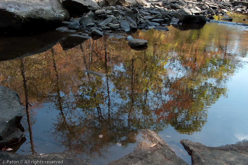 Reflection  