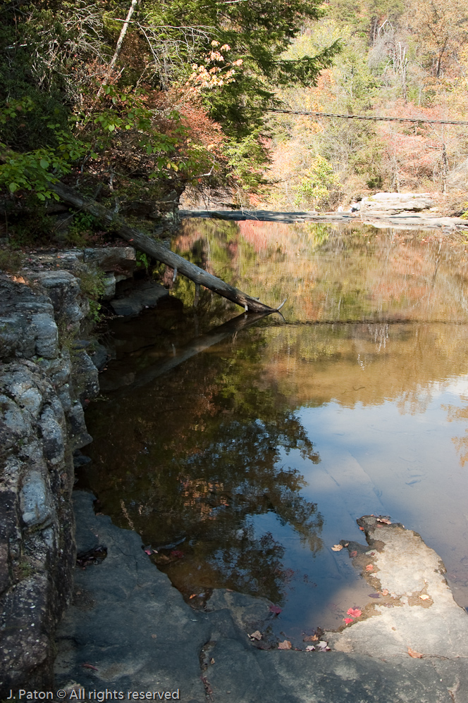 Bridge View  