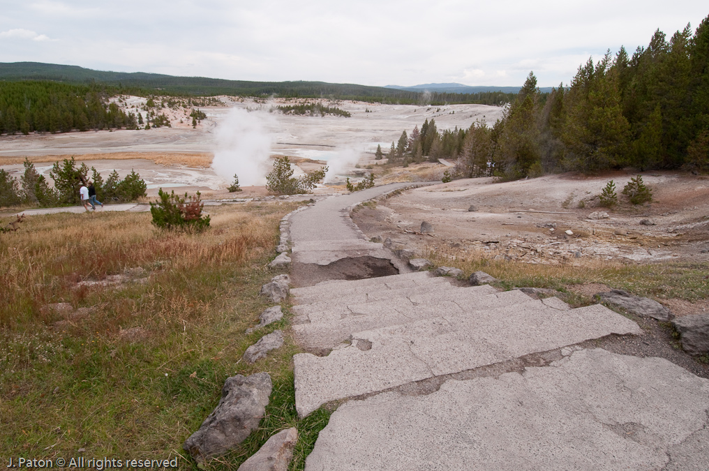 Another View Down the Steps   Norris Geyser Basin, Yellowstone National Park, Wyoming
