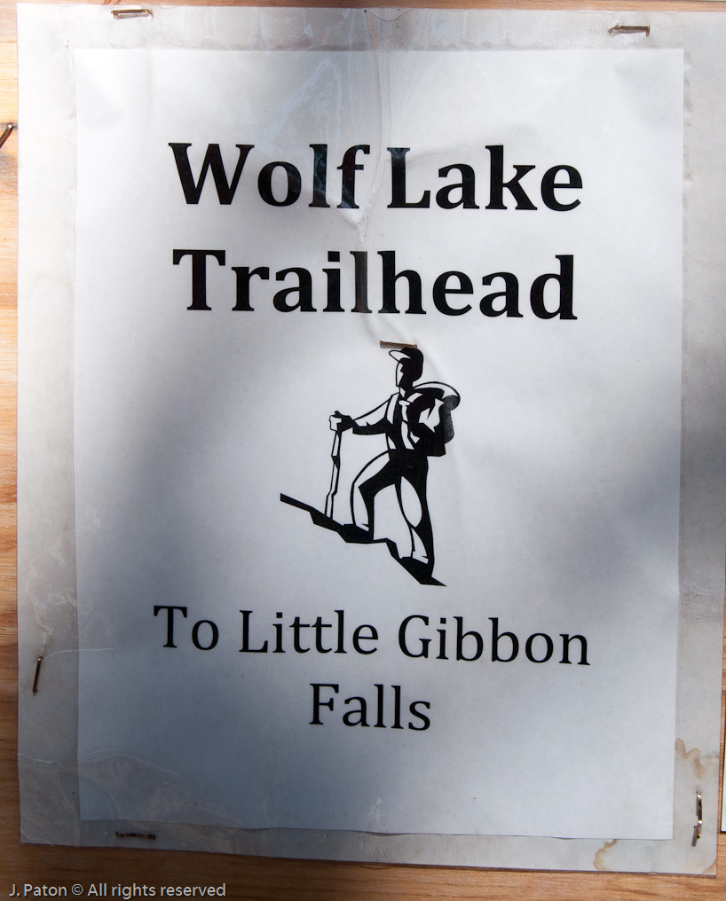    Wolf Lake Trail, Yellowstone National Park, Wyoming