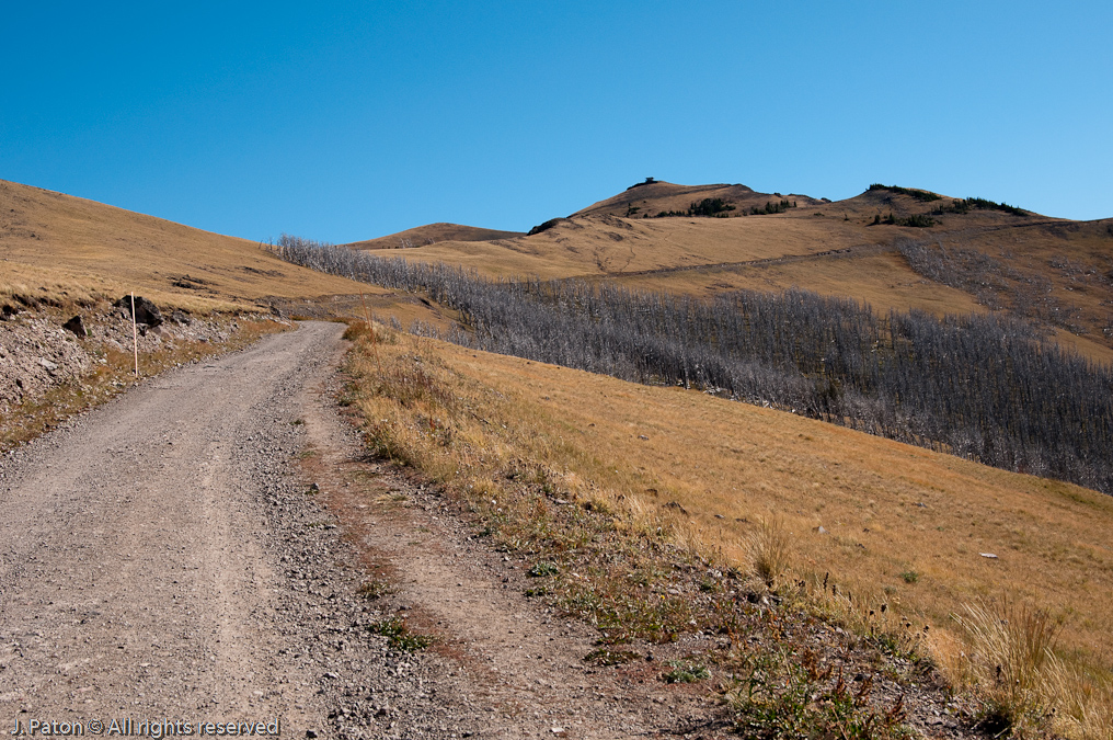 Still A Long Way To Go.  How many Times does the trail go around the peak?   Mount Washburn, Yellowstone National Park, Wyoming