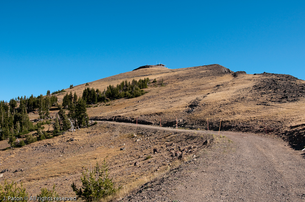 Almost There   Mount Washburn, Yellowstone National Park, Wyoming