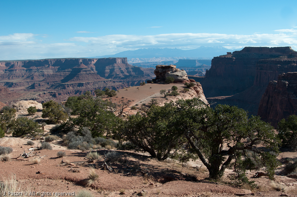 Shafer Canyon View   Canyonlands National Park, Utah