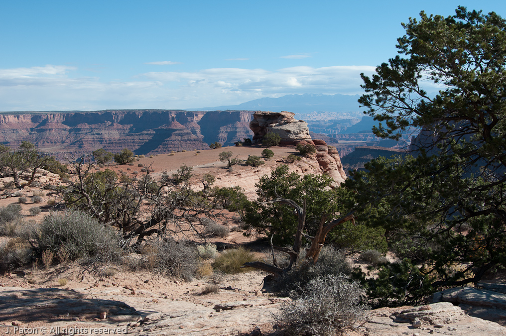 Shafer Canyon View   Canyonlands National Park, Utah