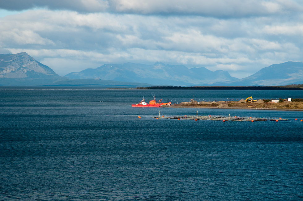 A Look Back   Puerto Natales, Chile