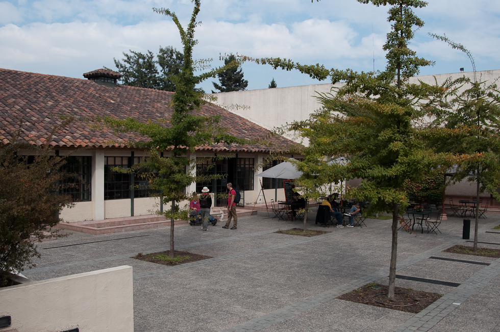    Concha Y Toro Winery, Chile