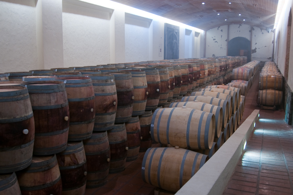    Concha Y Toro Winery, Chile