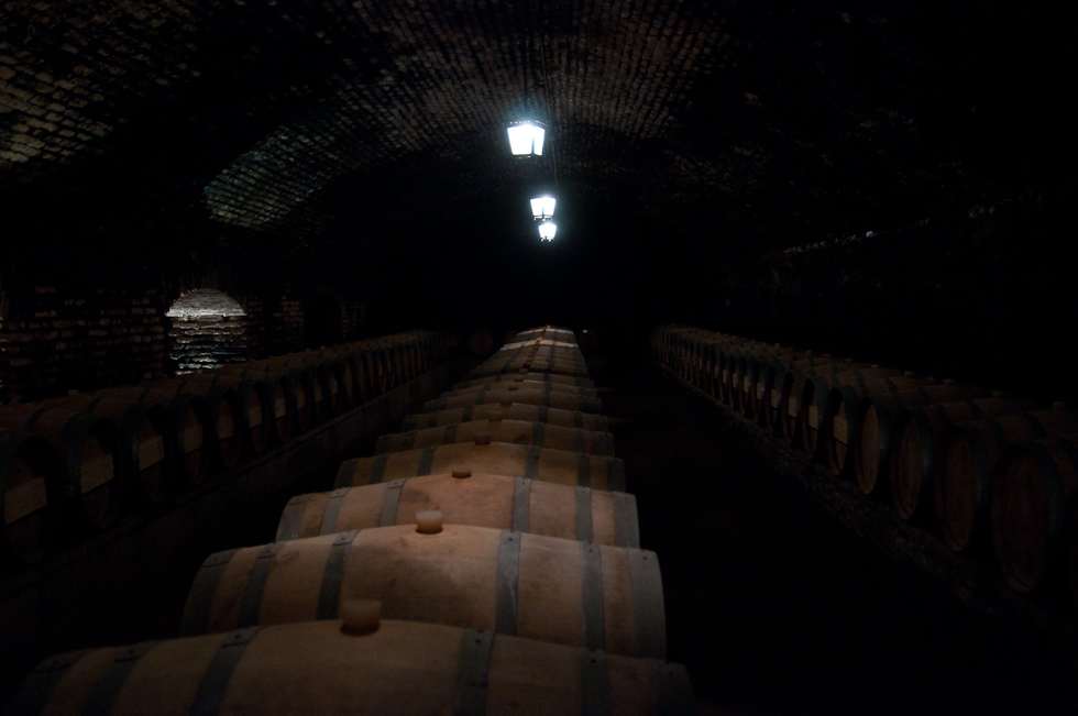    Concha Y Toro Winery, Chile