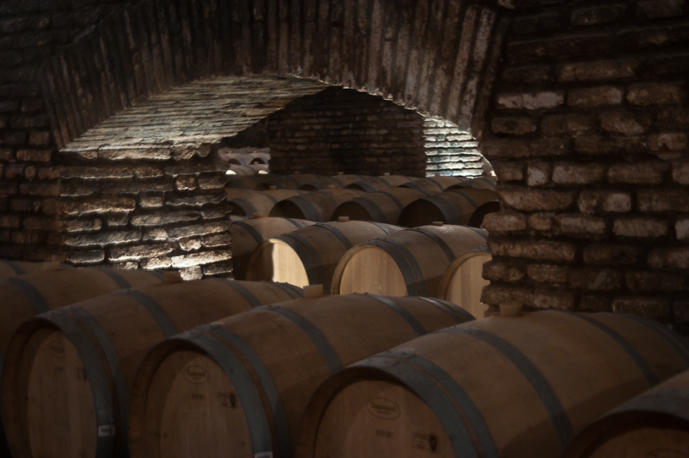    Concha Y Toro Winery, Chile