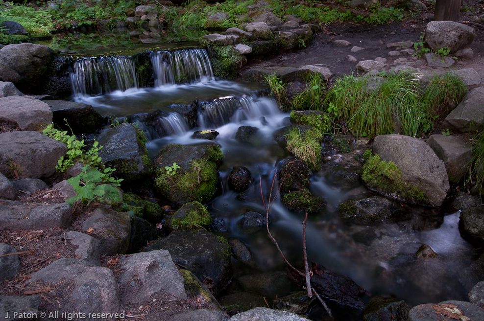 Fern Spring   