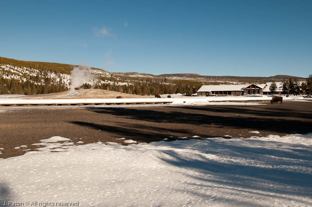 Late Afternoon at Old Faithful   Old Faithful Area, Yellowstone National Park, Wyoming