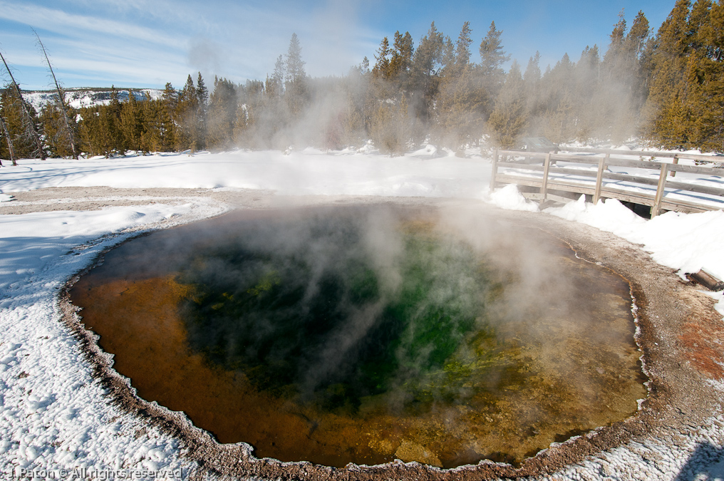 Morning Glory   Old Faithful Area, Yellowstone National Park, Wyoming