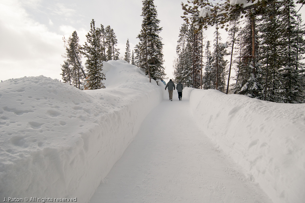 Walk out to Lookout Point   Canyon Area, Yellowstone National Park, Wyoming