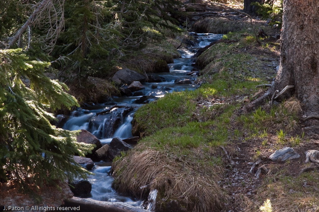 Stream On the way back   Great Basin National Park, Nevada